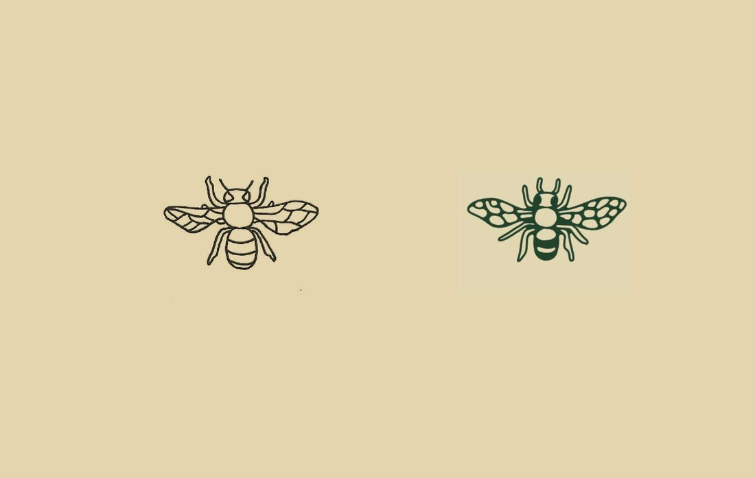 bee drawings polli skincare 